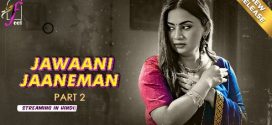 Jawaani Jaaneman Part 2 Feel Ep4-6 Hot Series Download