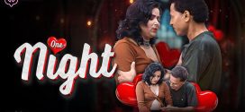 One Night 2025 Meetx Hot Series Download