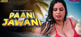 Paani Me Jawani 2025 Moodx Hot Series Download
