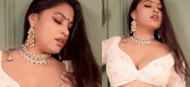 Anjali Gaud White Gray Sharee Strip App Content